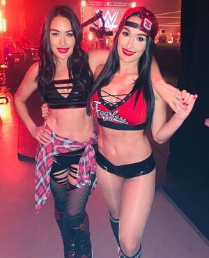 Bella Twin Porn Signs Contract - WWE's Bella twins used to pay the bills at Hooters â€“ now they're worth $12m  and own matching LA mansions & lingerie line | The Irish Sun
