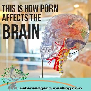 Nerve Porn - This is how porn affects the brain - Watersedge Counselling
