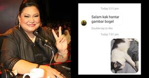 Malay Celebrity Porn - A pervert requests nudes from a Malaysian celebrity. She replies with a  photo of her cat. - Culture