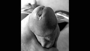 erotic photography hardcore - Erotic Photography 102515 - XVIDEOS.COM