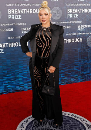 christina aguilera upskirt pussy - Christina Aguilera smolders in sheer zebra stripes on red carpet