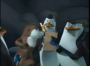 Madagascar Porn - Penguins of Madagascar wallpaper titled PoMCC 006