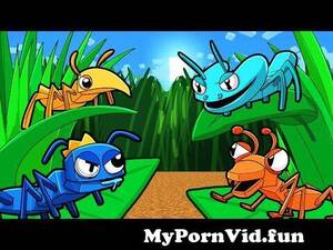Ant Farm Porn Cartoon - ANT FARM RAINBOW FRIENDS! from crabant Watch Video - MyPornVid.fun