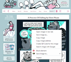 Mature Sex Toy Captions - Oh Joy Sex Toy - A Sex Education and Toy Review Comic