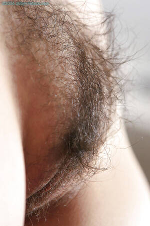 Close Up Hairy Porn - HAIRY PUSSY CLOSE UP Porn Pictures, XXX Photos, Sex Images #2120885 - PICTOA