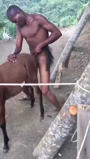 Donkey Bestiality Porn - African Bestiality Porn Video Leaked Online | Kenya Adult Blog