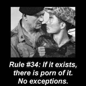 Celebrity Porn Captions Rule 34 - The following is The Original 36 Rules of the Internet