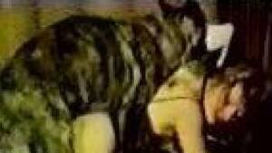 Hot Hardcore Porn Black Stockings - Black stockings blonde enjoying hot sex with a dog