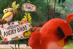 Angry Birds Movie Sex - Watch Angry Birds movie trailer as film based on addictive app prepares to  hit cinemas - Mirror Online