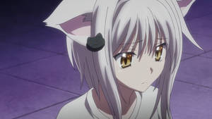highschool dxd - ... nekomimi came out.