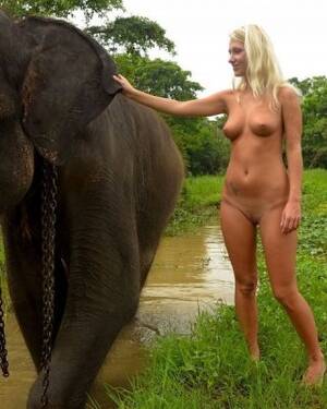 Elephant Sex With Girl - Foreign girl nude with an elephant in Sri lanka Porn Pictures, XXX Photos,  Sex Images #3752439 - PICTOA