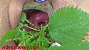 Nettle Porn - Female Cervix Play with Stinging Nettles Insertion and Flowers