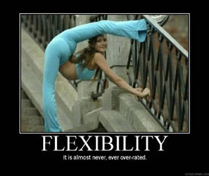 Hardcore Porn Motivational Posters - Flexibility: It's not just for porn stars
