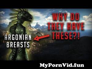 Elder Scrolls Skyrim Argonian Porn - Why Do Female Argonians Have Breasts - Elder Scrolls Theory from skyrim  argonian female nude Watch Video - MyPornVid.fun