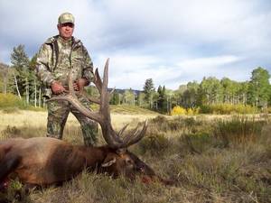 Elk Hunting Porn - hunting guide elk hunting Max Nichols