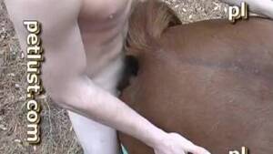 monster wet pussy cams - Man and horse pussy Animal Porn