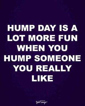 Adult Hump Day Fuck - funny quotes sex quotes. â€œ