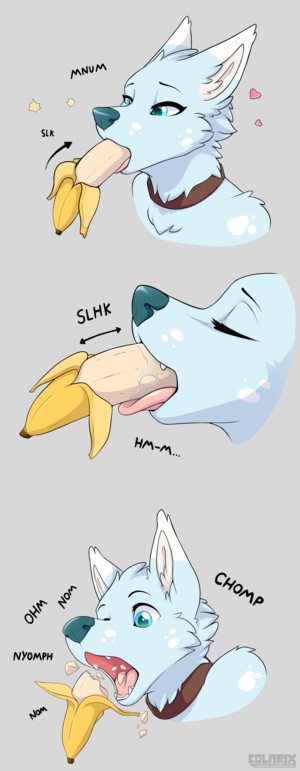 Furry Dinosaurs Porn Chomp - 86585 - suggestive, artist:colarix, oc, oc only, oc:colarix, canine, dog,  husky, mammal, nordic sled dog, anthro, 2018, absurd resolution, banana,  blue eyes, collar, comic, eating, eyes closed, female, food, food fetish,  fruit,
