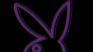 Amanda Cerny Garden Porn - The Bunnies Have Left the Mansion: Inside Playboy's Quest to Reinvent  Itself as a Tech Company â€” The Information