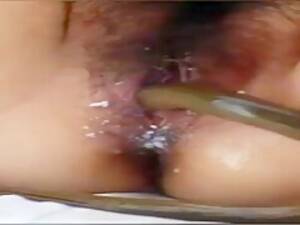 Eel Porn Hard - Eel Porn Hard | Sex Pictures Pass