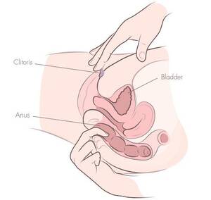 Anal Sex Diagram - Anal Fuck Diagram