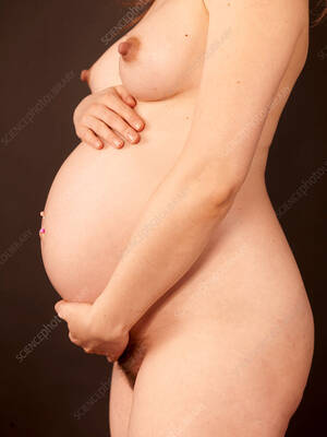 naked pics your wife pregnant - Nude pregnant woman - Stock Image - C002/7202 - Science Photo Library