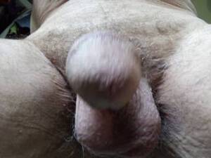 droopy white cock - Soft cock and saggy balls 7040659