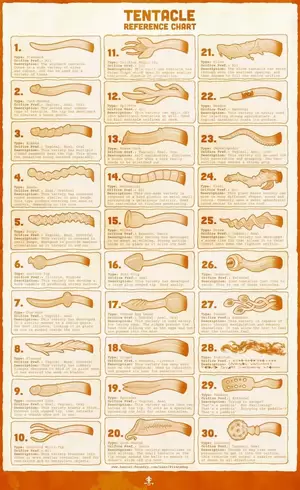 Different Types Of Tentacle Porn - Reference chart other nudes in consentacles | Onlynudes.org