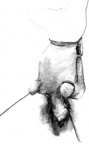 Fairy Tail Pussy Comparison Orn - Some torture