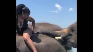 girl takes elephant dick - elephant-black-cul - XVIDEOS.COM