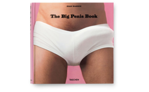 girl in a big cock porn print t - The Big Penis Book: Hanson, Dian, Mizer, Bob, Hules, David: 9783836502139:  Amazon.com: Books