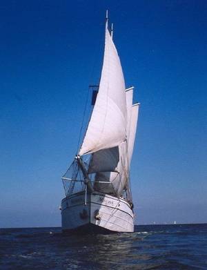Danish Sailing Cadet Gay Porn - Minerva , three mast schooner built in April 1935