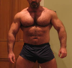 Beefy Muscle Bears Porn - Muscle bear Â· Blueyedhunk Into Hairy Beefy Males And Porn : Photo
