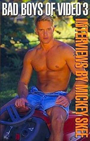 Boy Gay Porn Stars - Bad Boys of Video: Interviews with Gay Porn Stars v. 3 : Skee, Mickey:  Amazon.sg: Books