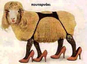 Funny Greek Porn - Kid Moxie on X: \