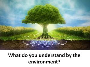 markie post handjob - What do you understand by the environment? ~ All e Knowledge