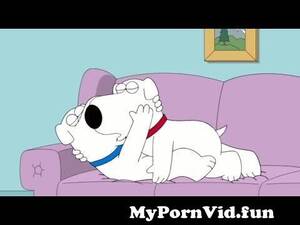 Family Guy Brian Sex - Brian Having Sex With Robot Brian (Family Guy) from gals xxx brian Watch  Video - MyPornVid.fun