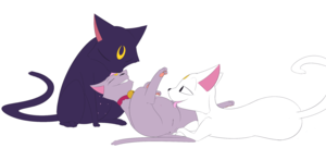 Cat Sailor Moon Porn - Big pussy cat - comisc.theothertentacle.com