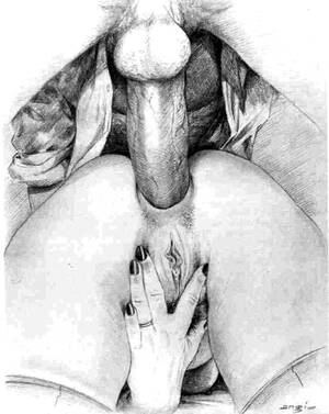 Big Dick Porn Pencil Drawings - PENCIL Sketch Pussy - 68 photos