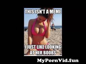 Bikini Porn Meme - Porn Memes Compilation from pornmeme Watch Video - MyPornVid.fun