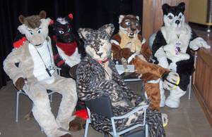 Furry Costume Sex - 8) What kind of people are furries?