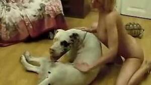 Great Dane Sex Porn - Great dane Animal Porn