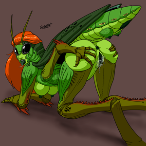 Anthro Insect Porn - Rule 34 - 1girls 2014 alternate species antennae anthro anus arthropod ass  big breasts breasts butt doomington female female only grasshopper grey  background hair insect abdomen breasts insect girl insects looking at
