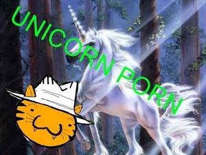 Last Unicorn Porn - UNICORN PORN!