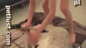 Man Fucks Goat - Man fucks a goat and cums in its pussy big time