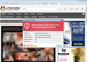 Hamster Porn Site - xHamster, Second Largest Porn Site Hit by Massive Malware Attack - Freedom  Hacker