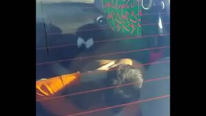 caught in car - Couple caught doing 69 in car - XVIDEOS.COM