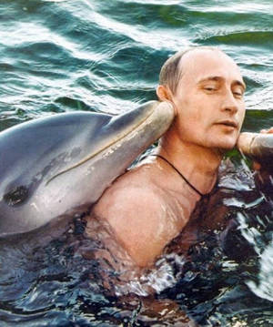 Dolphin Porn - Hey, even world leaders are into it.