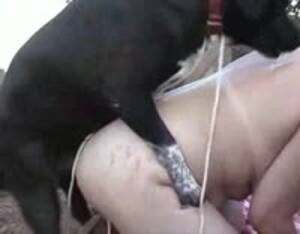 Mexican Anal Sex With Donkeys - Donkey fucks mexican woman - Extreme Porn Video - LuxureTV