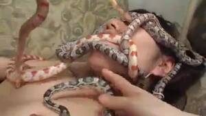 Bestiality Snake Sex - Japanese Fucked big thick hard cock by SNAKES Bestiality, Othaieko -  PeekVids